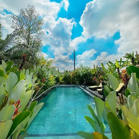 Paddy House Ubud Villa