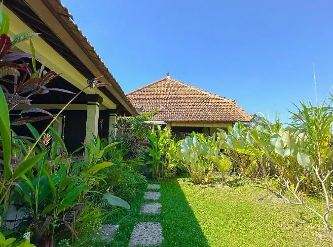 Paddy House