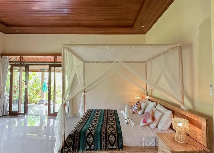 Paddy House Villa *