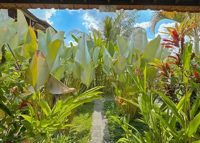 Paddy House * Ubud