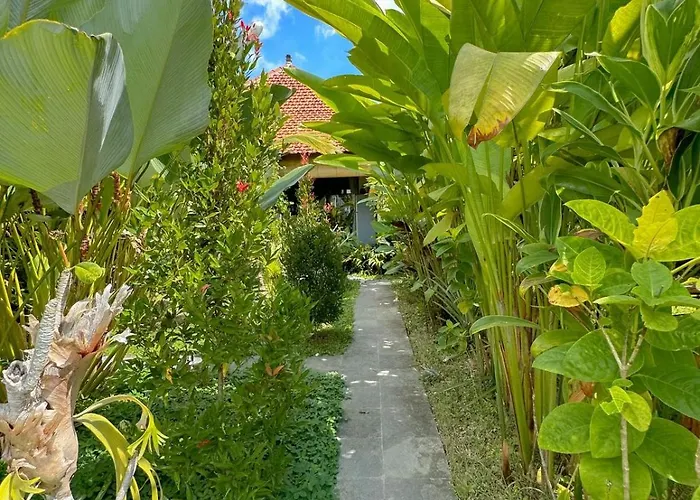 Villa Paddy House *